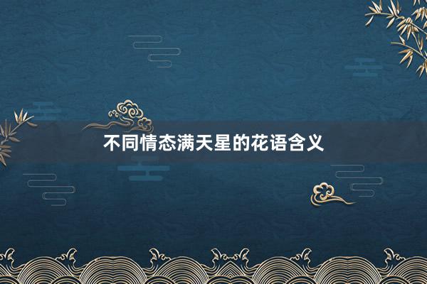 不同情态满天星的花语含义