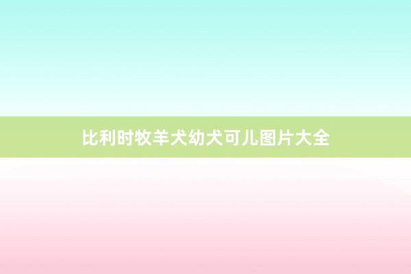 比利时牧羊犬幼犬可儿图片大全