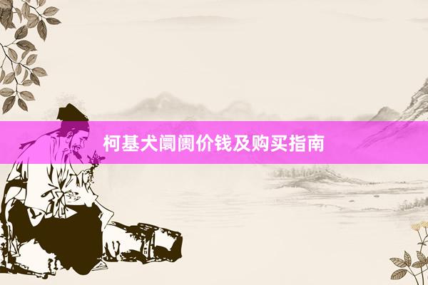柯基犬阛阓价钱及购买指南