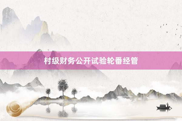 村级财务公开试验轮番经管