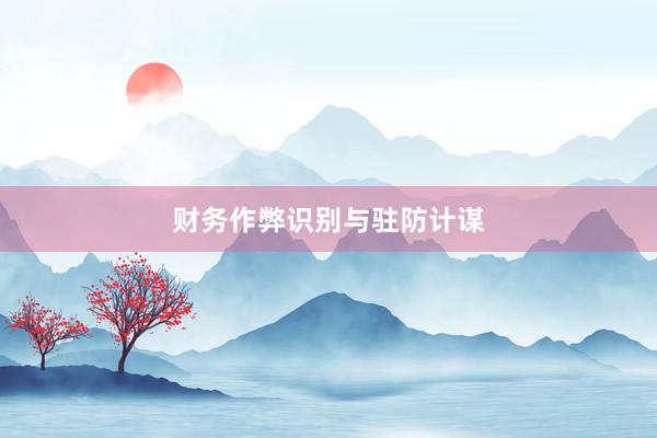 财务作弊识别与驻防计谋